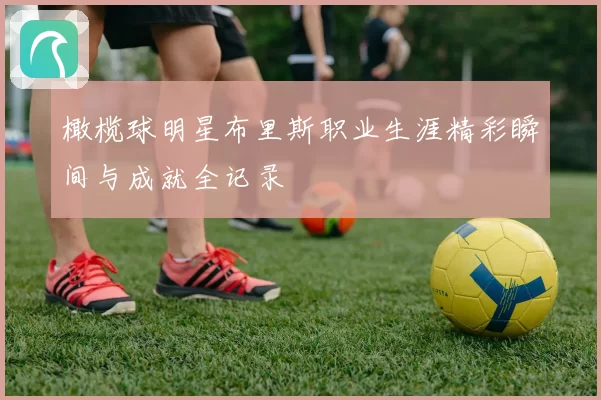 橄榄球明星布里斯职业生涯精彩瞬间与成就全记录