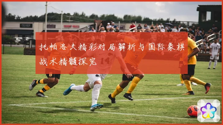托帕洛夫精彩对局解析与国际象棋战术精髓探究